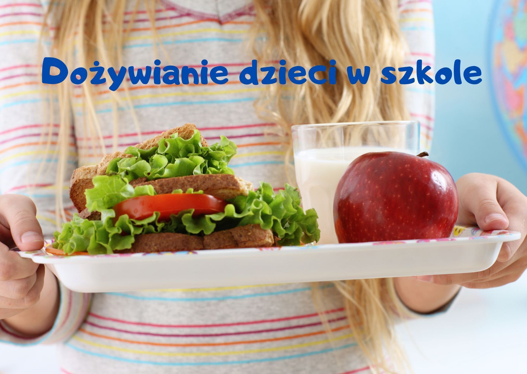 Program Posiłek w szkole i w domu - baner