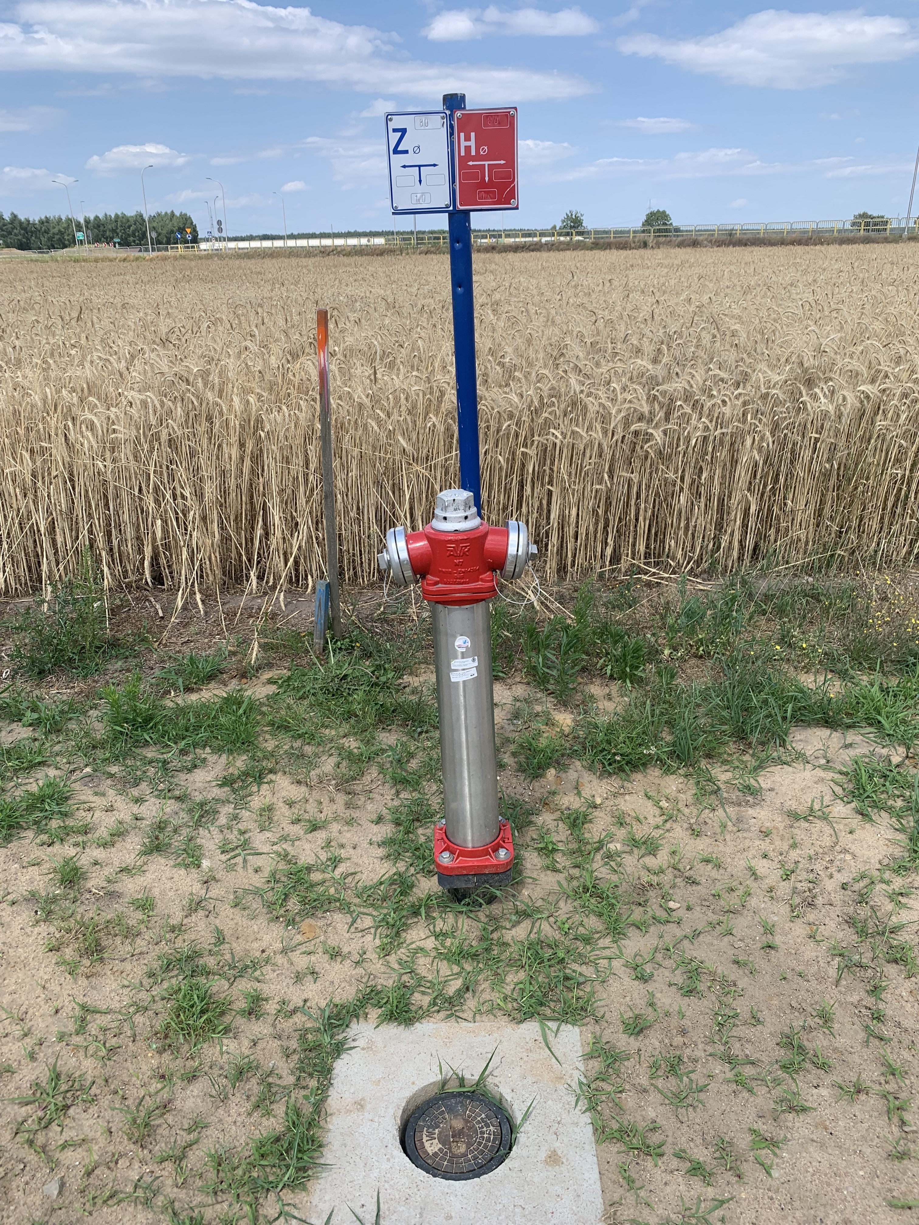 Zdjęcie czerwonego hydrantu za nim zboże&nbsp;