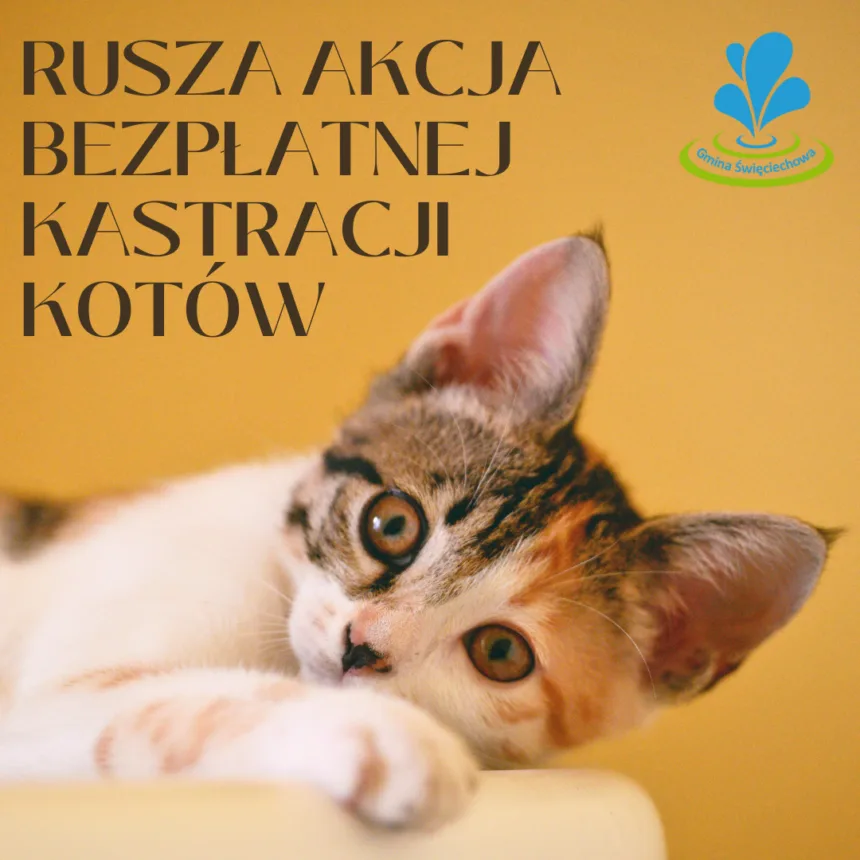 Baner informujący o bezpłatnej kastracji - na zdjęciu kot