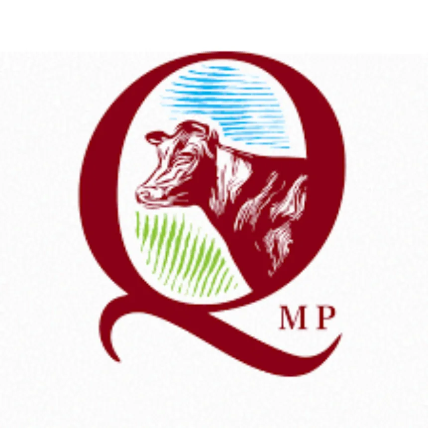 QMP - logo