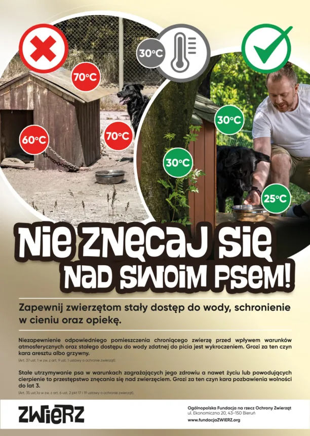 Plakat promujący akcję NIE ZNĘCAJ SIĘ NAD SWOIM PSEM. Na plakacie pokazano w jakich warunkach powinien trzymany być pies