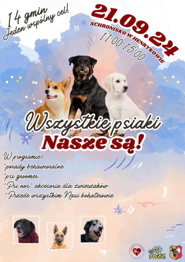 Plakat promocyjny