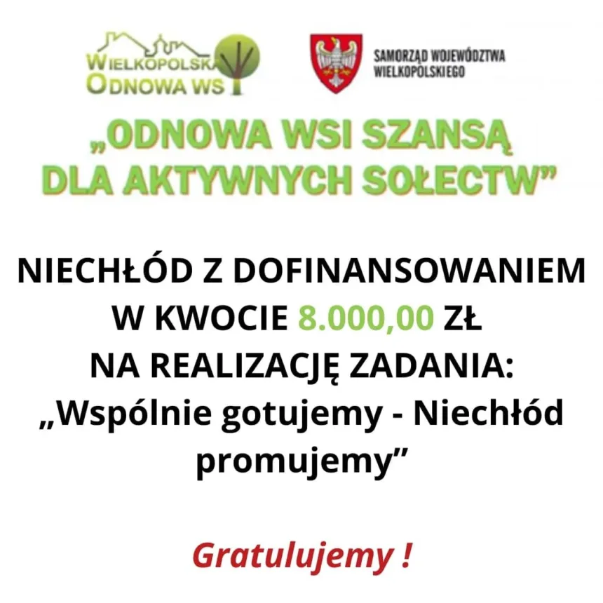 Baner informujący o przyznanym dofinansowaniu