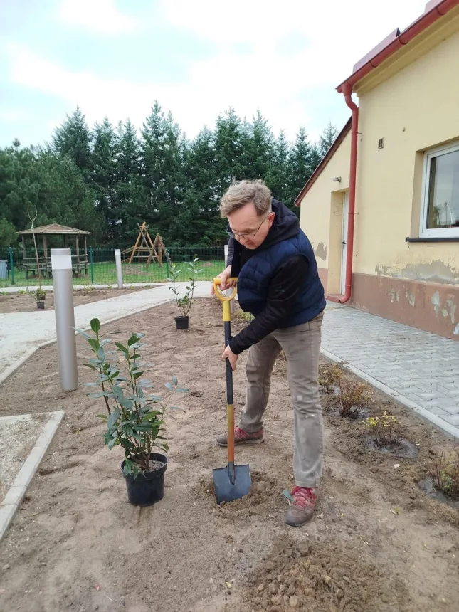 Zdjęcie Sołtysa podczas sadzenia drzewka