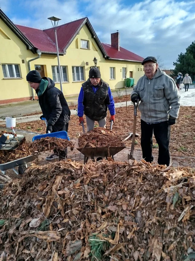 Zdjęcie przedstawia 3 mężczyzn z taczkami pakujących korę