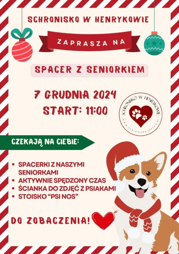 Plakat wydarzenia pod nazwą "Spacer z seniorkiem", organizowanego przez schronisko w Henrykowie, z informacjami o dacie (7 grudnia 2024) i godzinie (start 11:00), oraz atrakcjami takimi jak spacery, aktywne spędzanie czasu, ścianka do zdjęć z psami i stoisko "Psi Nos". Na plakacie znajduje się obrazek psa z czapką Mikołaja.