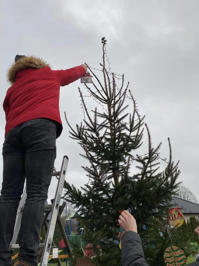 Zdjęcie mężczyzny na drabinie zawieszającego bombkę na choinkę