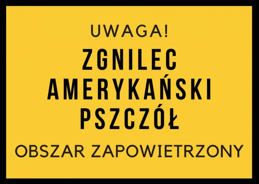 Grafika informacyjna o Zgniclu Amerykańskim Pszczół Grafika informacyjna o Zgniclu Amerykańskim Pszczół